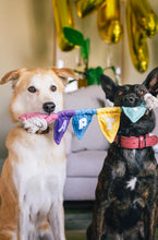 Load image into Gallery viewer, Party Animals
