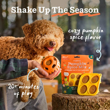 Load image into Gallery viewer, Woof Pumpkin Spice Mix
