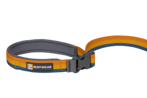 Roamer Leash