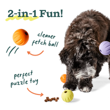 Load image into Gallery viewer, Flyball
