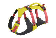 Load image into Gallery viewer, Flagline Dog Harness
