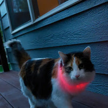 Load image into Gallery viewer, NiteMeow Disc-o-Select LED Safety Necklace
