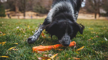 Load image into Gallery viewer, Gnawt-a-Stick Toy
