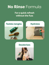 Load image into Gallery viewer, Earth rated dog refresh mist- white tea and basil

