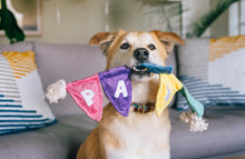 Load image into Gallery viewer, Party Animals
