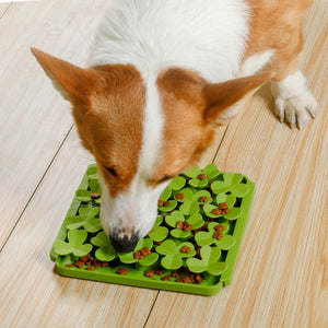 Foraging Mat