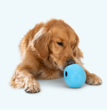 Load image into Gallery viewer, West Paw Rumbl
