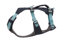 Load image into Gallery viewer, Flagline Dog Harness
