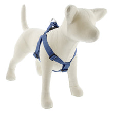 Load image into Gallery viewer, Lupine ECO 1” Step-In Harness

