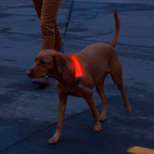 Load image into Gallery viewer, NiteDog Disc-o Select LED Collar Cover
