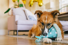 Load image into Gallery viewer, Party Animals
