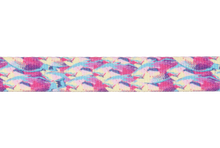 Load image into Gallery viewer, Front Range Leash
