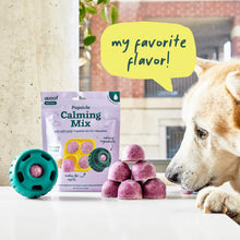 Load image into Gallery viewer, Pupsicle Mix Sample Pack (4 Pack)

