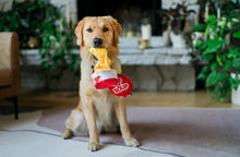 Load image into Gallery viewer, Fog City Pet x Play Pup of Soup
