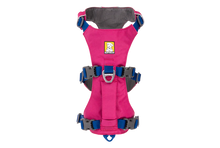 Load image into Gallery viewer, Flagline Dog Harness
