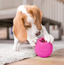 Load image into Gallery viewer, West Paw Rumbl
