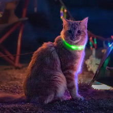 Load image into Gallery viewer, NiteMeow Disc-o-Select LED Safety Necklace
