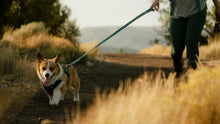 Load image into Gallery viewer, Front Range Flex Leash
