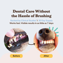 Load image into Gallery viewer, Natural Dog Dental Power

