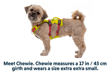 Load image into Gallery viewer, Flagline Dog Harness
