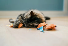 Load image into Gallery viewer, Dog City Pet x Feline Frenzy Fortune Whiskers
