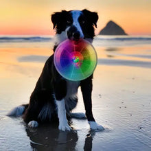 Load image into Gallery viewer, Flashingflight Dog Discuit LED Flying Disc-O
