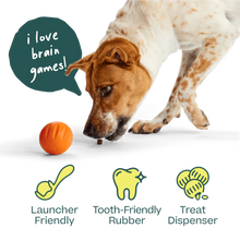 Load image into Gallery viewer, Flyball
