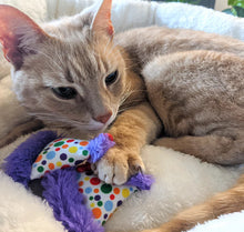 Load image into Gallery viewer, Pounce Toy with Organic Catnip
