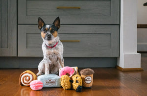 Pup Cup Cafe Mini