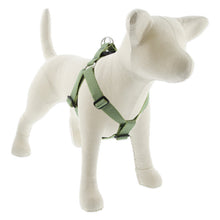 Load image into Gallery viewer, Lupine ECO 1” Step-In Harness
