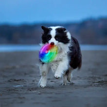 Load image into Gallery viewer, Flashingflight Dog Discuit LED Flying Disc-O
