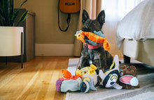 Load image into Gallery viewer, Ocean Buddies
