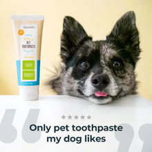 Load image into Gallery viewer, Oxyfresh Pet Toothpaste + Finger Brush Kit
