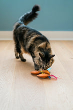 Load image into Gallery viewer, Dog City Pet x Feline Frenzy Fortune Whiskers
