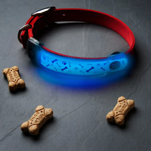 Load image into Gallery viewer, NiteDog Disc-o Select LED Collar Cover
