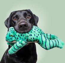 Load image into Gallery viewer, Oliver Green Frog
