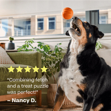 Load image into Gallery viewer, Flyball
