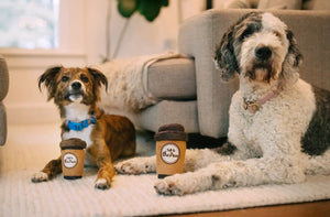 Pup Cup Cafe Mini