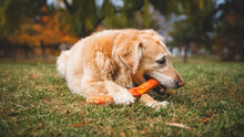 Load image into Gallery viewer, Gnawt-a-Stick Toy
