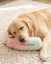 Load image into Gallery viewer, Pawlates Princess Water Bottle
