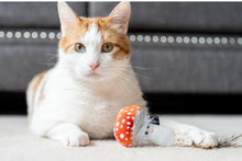 Load image into Gallery viewer, Fog City Pet x Mystic Mushroom &amp; Meowshroom
