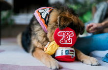 Load image into Gallery viewer, Fog City Pet x Play Pup of Soup
