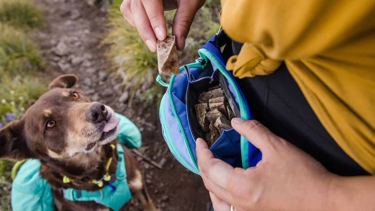 Home Trail Hip Pack – River Dog Bakery Home Trail Hip Pack – River Dog Bakery
