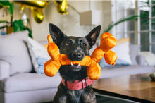 Load image into Gallery viewer, Party Animals
