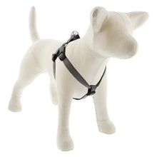 Load image into Gallery viewer, ECO 3/4” Step-in Harness

