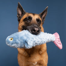 Load image into Gallery viewer, Fitz Fish
