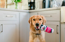 Load image into Gallery viewer, P.L.A.Y x Cabot Creamery Woofed Cream Can
