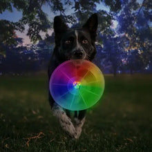 Load image into Gallery viewer, Flashingflight Dog Discuit LED Flying Disc-O
