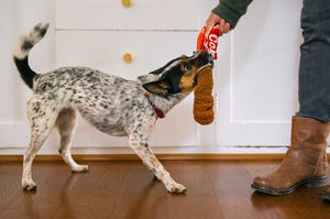 Snack Attack Mini