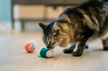 Load image into Gallery viewer, Fog City Pet x Feline Frenzy Roll with it wand
